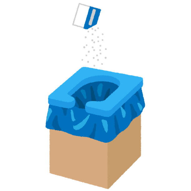 Best Sanitation services for porta potties  in Lake Park, GA